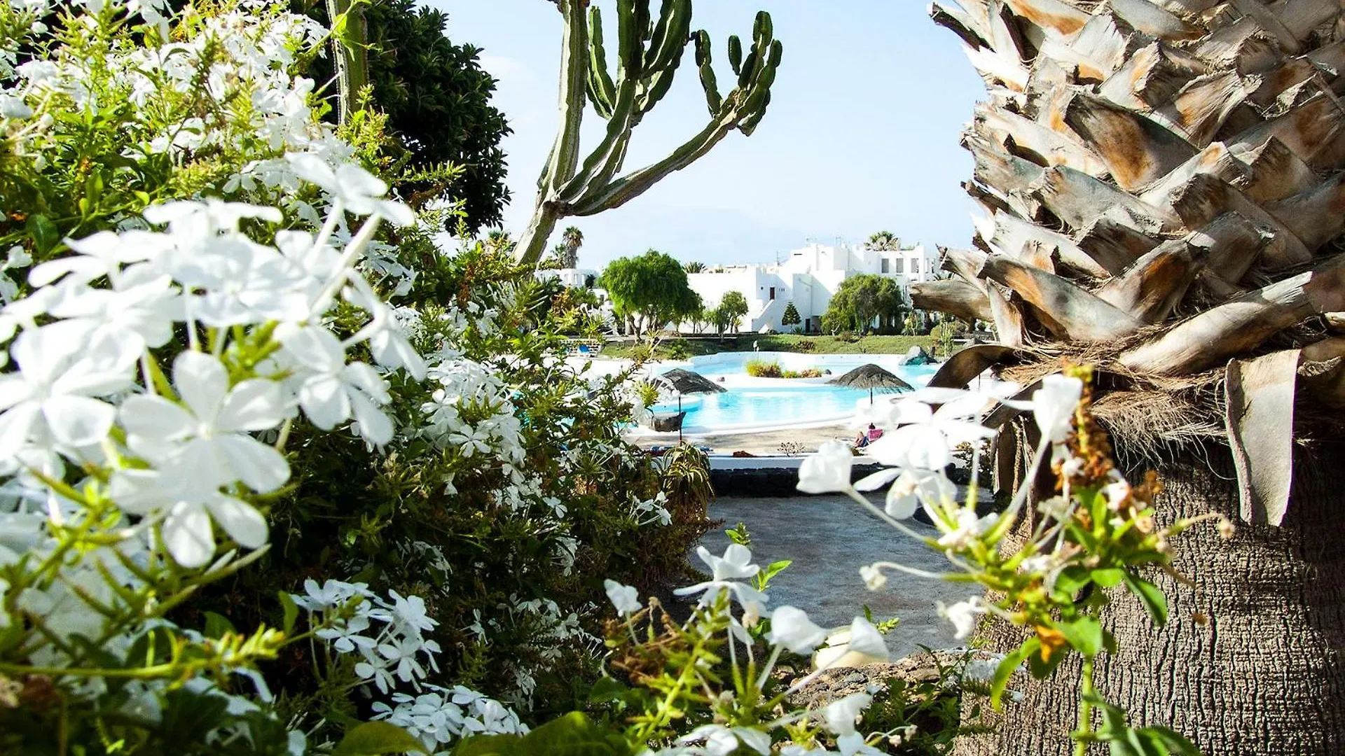 Apartment Little Gem Apartment, Los Molinos Costa Teguise