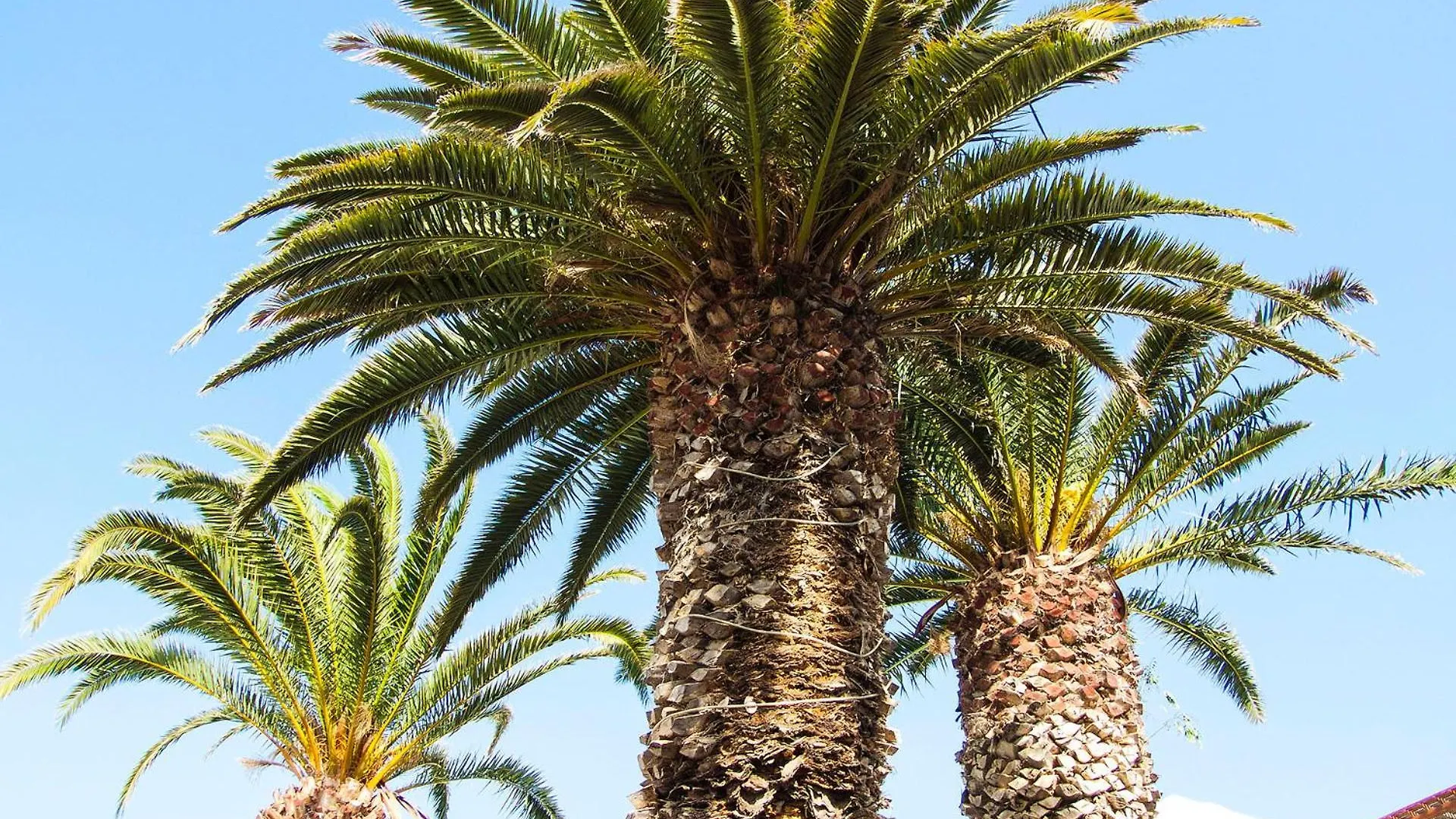 Little Gem Apartment, Los Molinos Costa Teguise 0*,  Spain